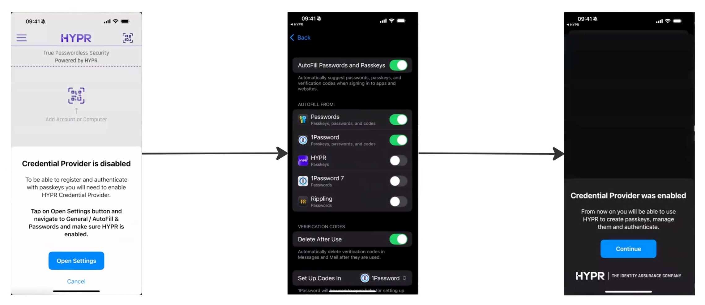 Enabling passkeys in phone settings